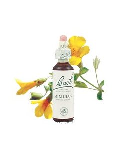 MIMULUS - BOHÓCVIRÁG 20ml