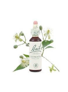 CLEMATIS - ISZALAG 20ml