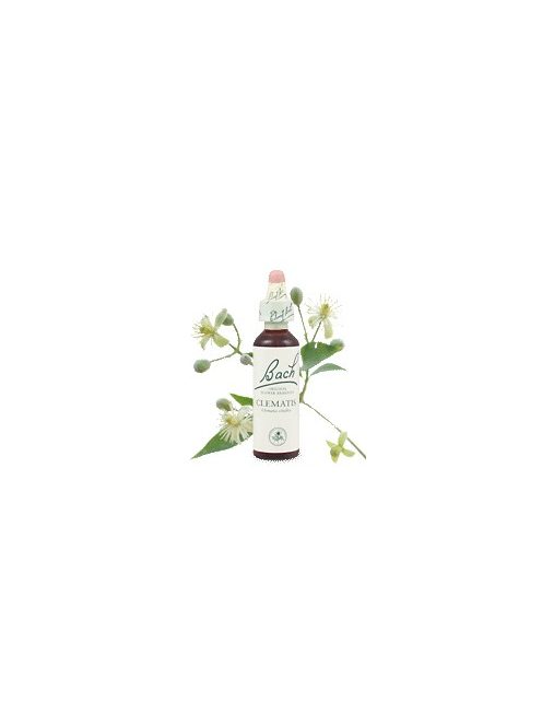 CLEMATIS - ISZALAG 20ml