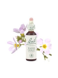 WATER VIOLET - BÉKALILIOM 20ml