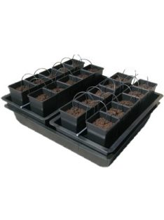 Nutriculture Wilma AW120 20x6L hidroponikus rendszer