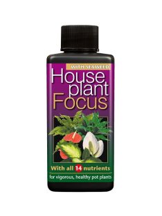 House Plant Focus 100ml-től