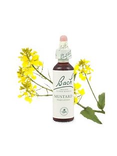 MUSTARD - VADREPCE 20ml