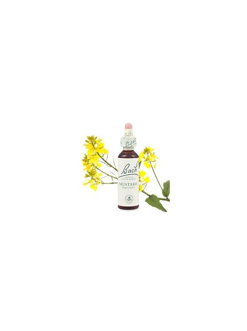 MUSTARD - VADREPCE 20ml