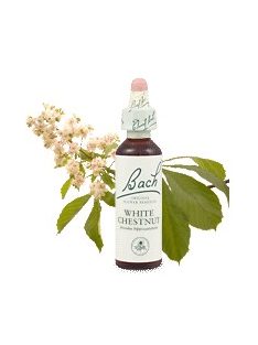 WHITE CHESTNUT - FEHÉR VIRÁGÚ VADGESZTENYE 20ml