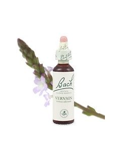 VERVAIN - VASFŰ 20ml