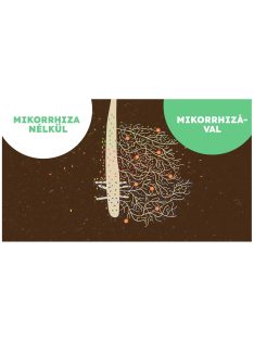 Mikomax Garden mikorhizza gomba 60g-tól
