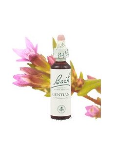 GENTIAN - TÁRNICS 20ml
