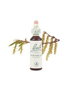 HORNBEAM - GYERTYÁN 20ml