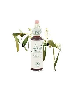 OLIVE - OLAJFA 20ml
