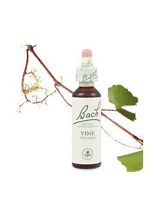 VINE - SZŐLŐ 20ml