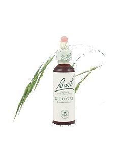 WILDE OAT - ÁGAS ROZSNOK 20ml