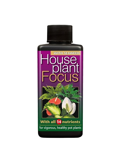 House Plant Focus 300ml
