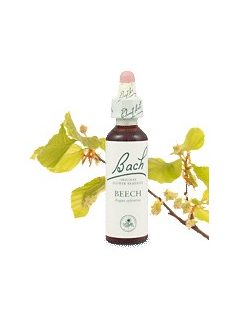 BEECH - BÜKK 20ml