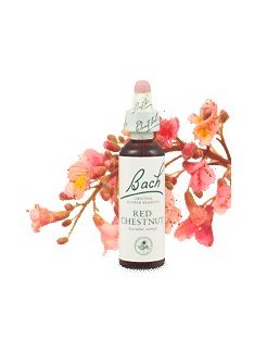 RED CHESTNUT - VÖRÖS VADGESZTENYE 20ml