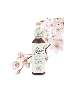 CHERRY PLUM - CSERESZNYESZILVA 20ml