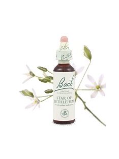 STAR OF BETHLEHEM - ERNYŐS MADÁRTEJ 20ml