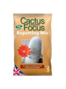 Growth Technology Cactus Focus földkeverék 2L-től