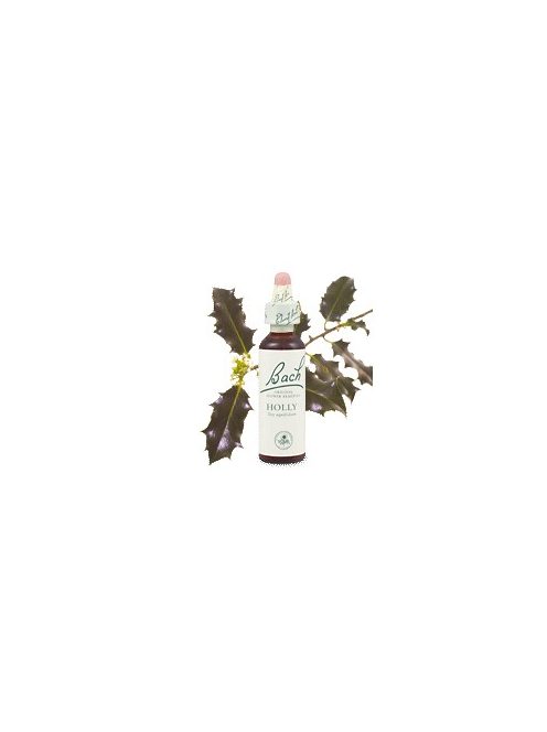 HOLLY - MAGYAL 20ml