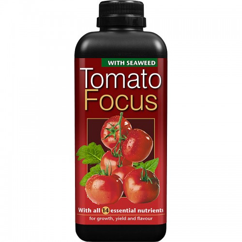 tomato be focused