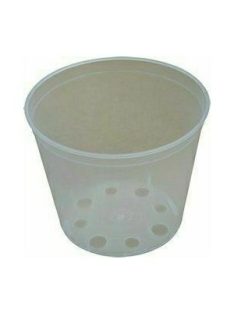 Orchidea cserép 12cm-től