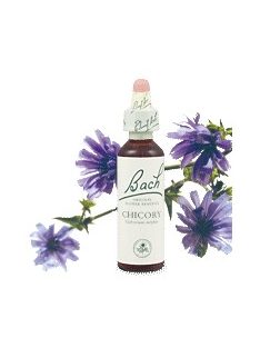 CHICORY - MEZEI KATÁNG 20ml