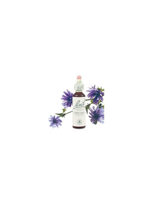 CHICORY - MEZEI KATÁNG 20ml