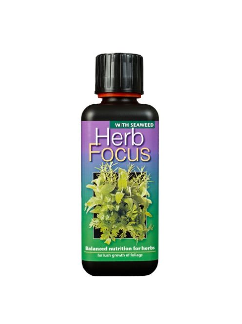 Herb Focus 100ml
